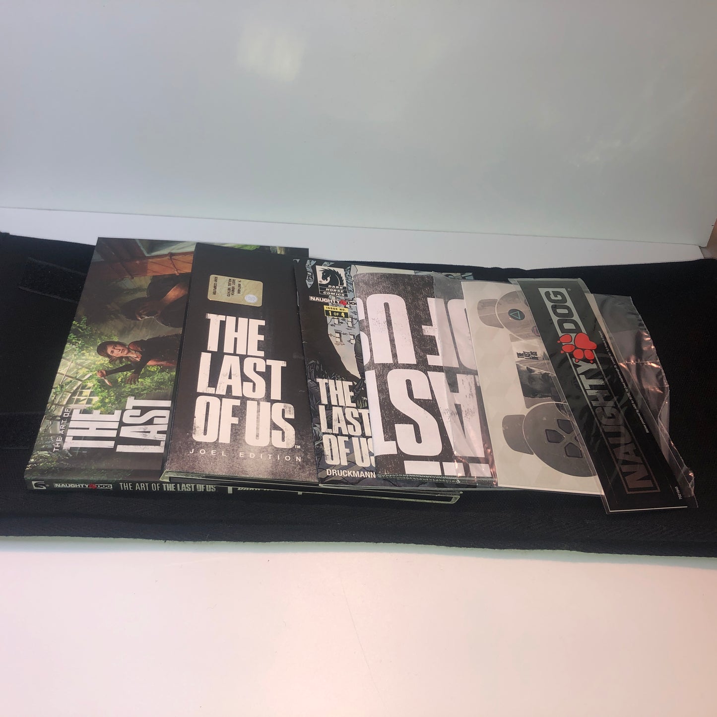 The Last Of Us Joel Collector's Edition