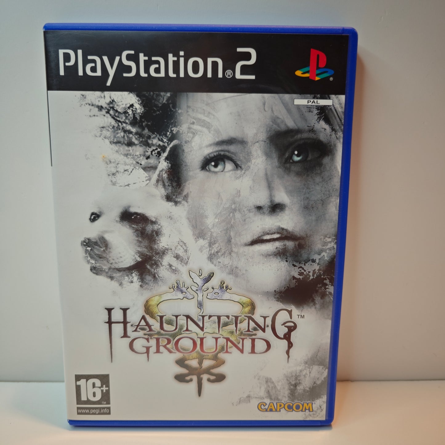 Haunting Ground