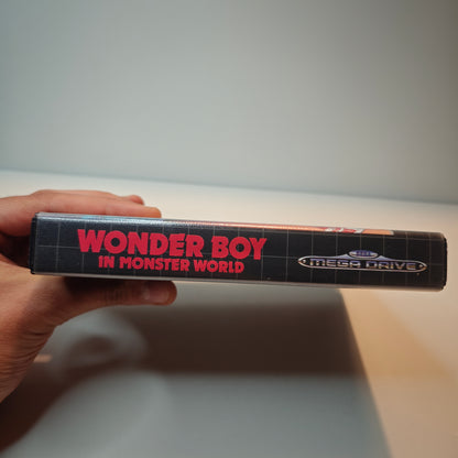 Wonder Boy In Monster World