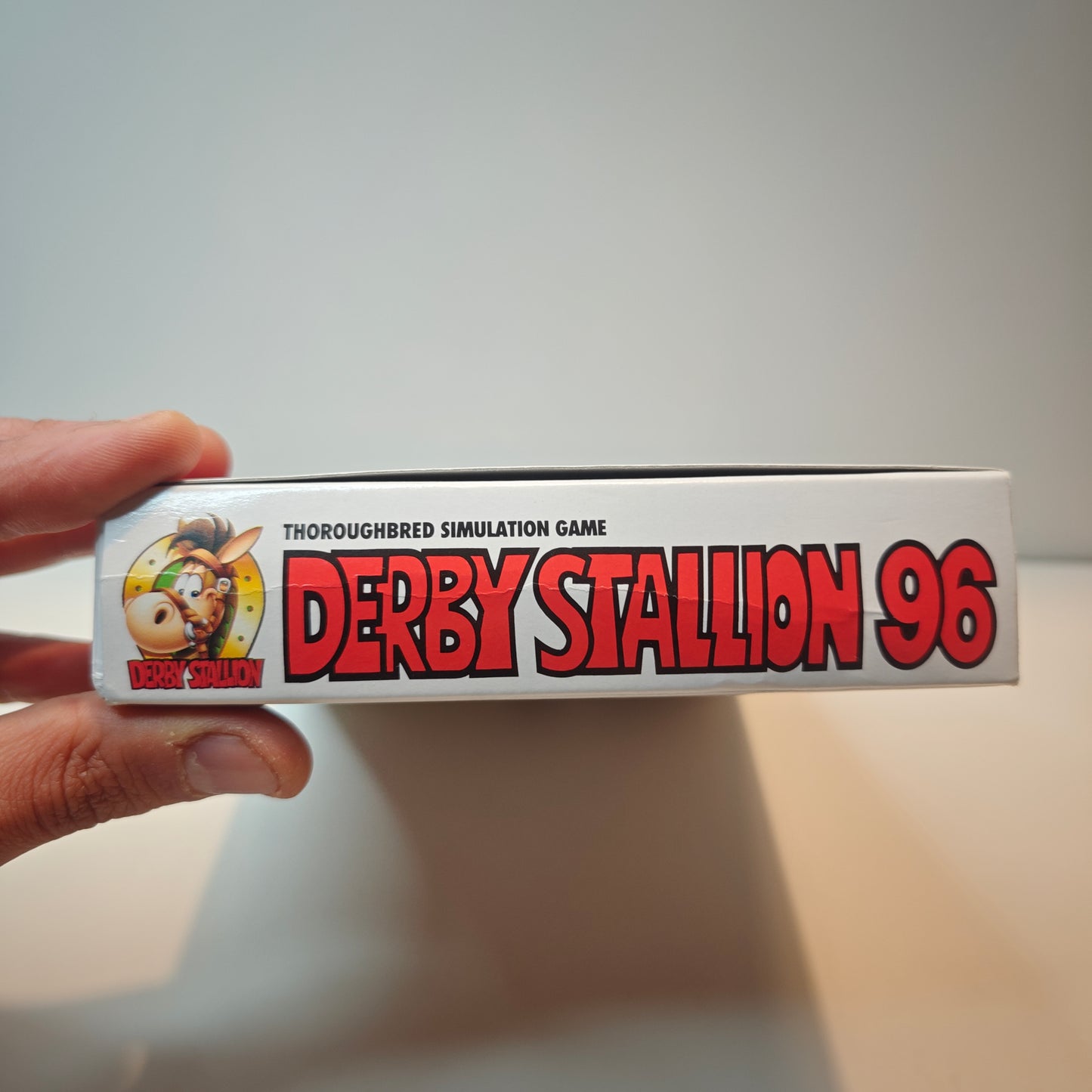 Derby Stallion 96 (JAP)