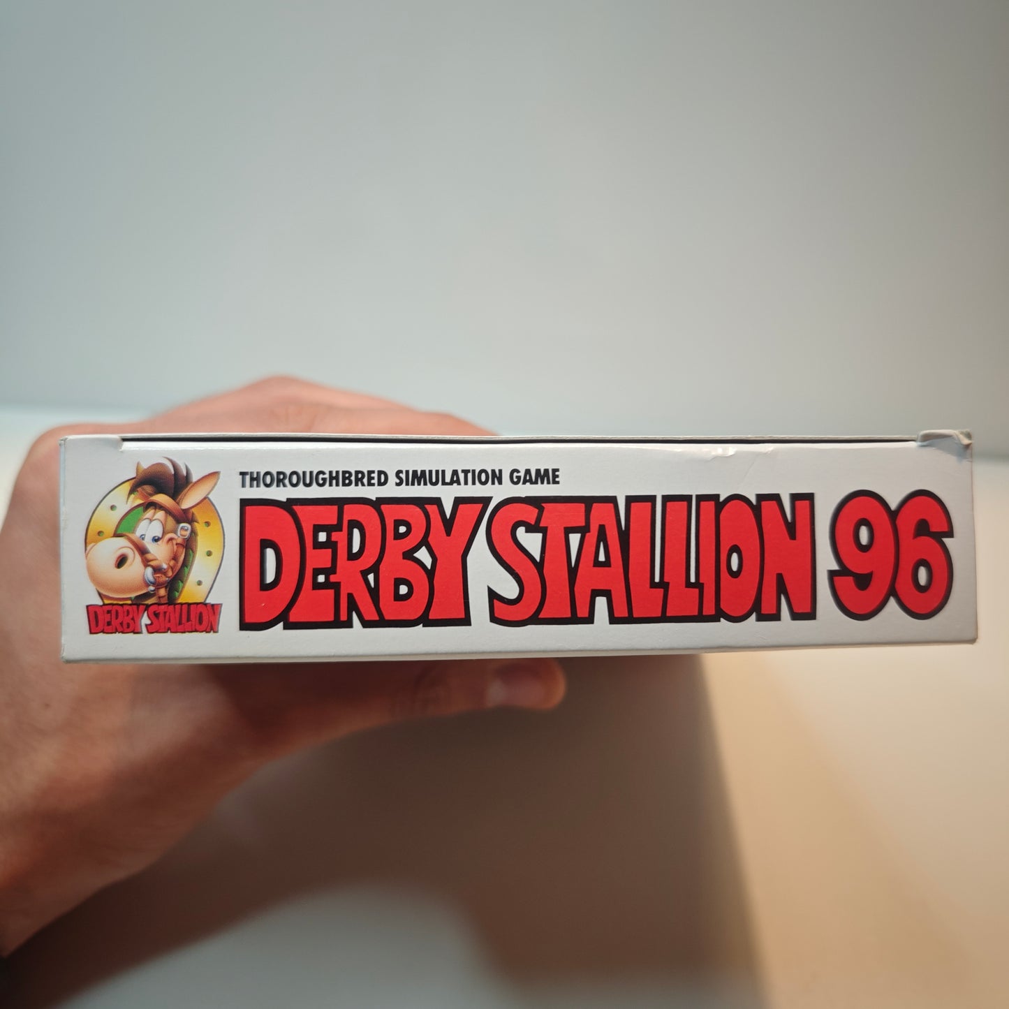 Derby Stallion 96 (JAP)