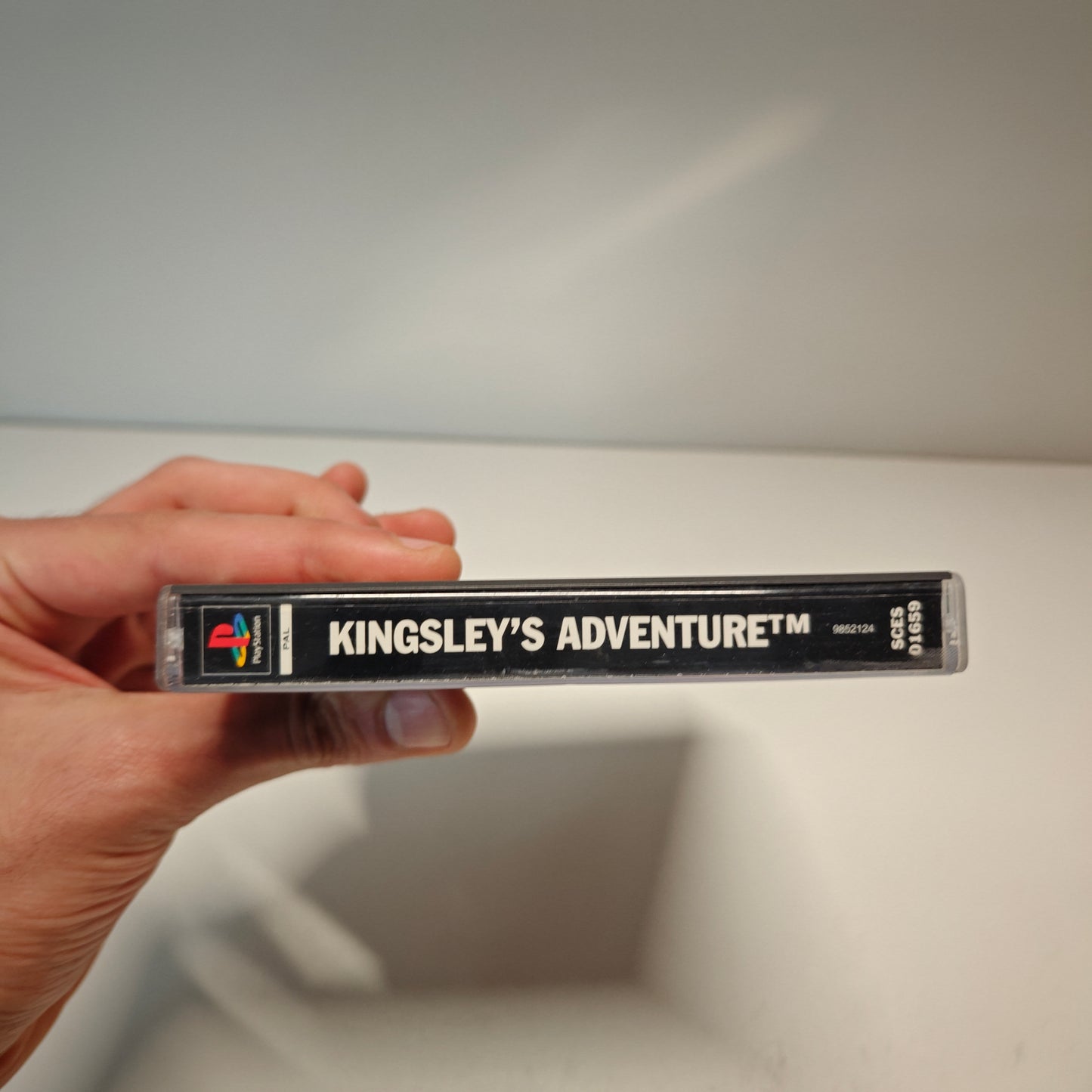 Kingsley's Adventure