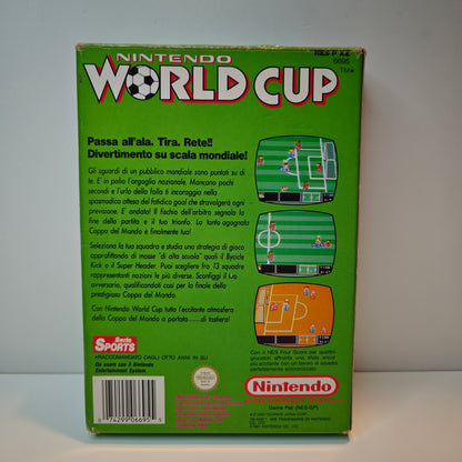 Nintendo World Cup